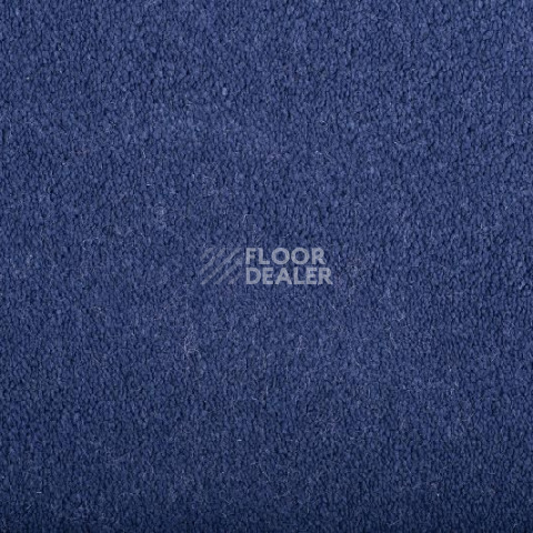 Ковролин Condor Masquerade Elegance Elegance 318204 фото 1 | FLOORDEALER